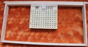 Nicot / Nikot set ORGINAL za uzgoj matice ( Nicot ORGINAL queen complete systeme ) - Slika 3