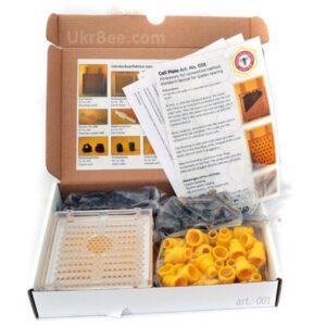 jenter set -5