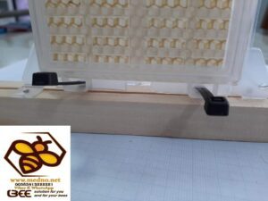 Blokator ( izolator ) matica na 21 dan u borbi protiv varoe